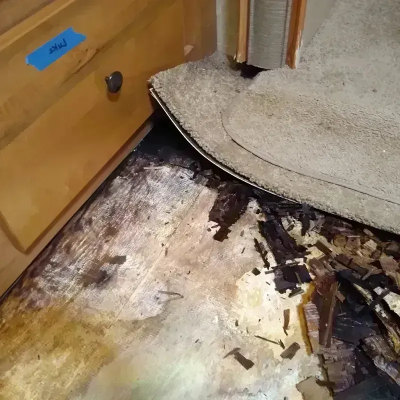 Wood Floor Water Damage in Kenedy, TX